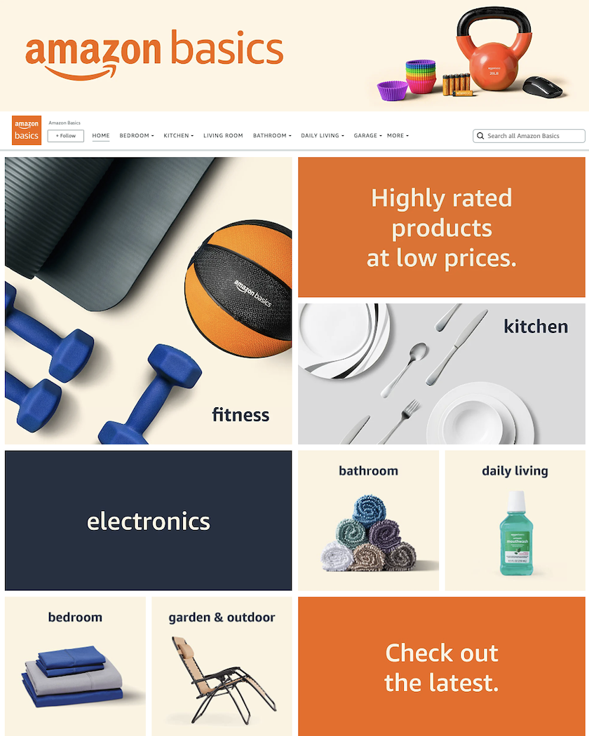amazon basics storefront