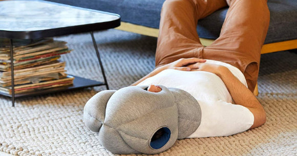 Ostrich Travel Pillow