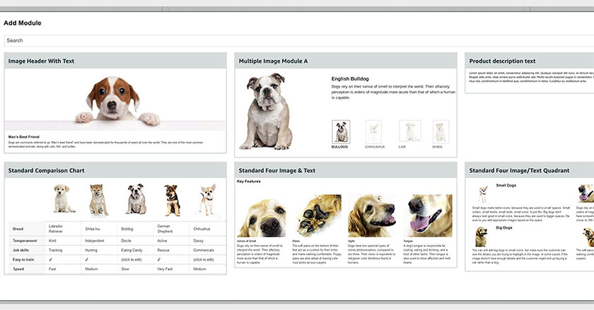 Amazon brand module