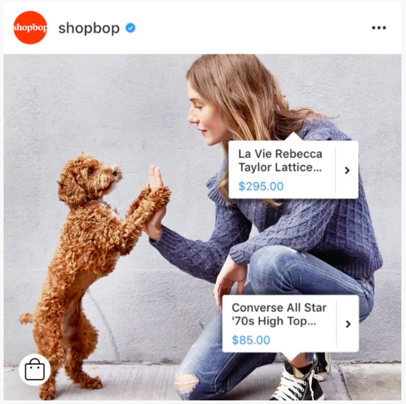 How Social Shopping on Instagram & Pinterest Drive Ecommerce Sales shopbop shopping example