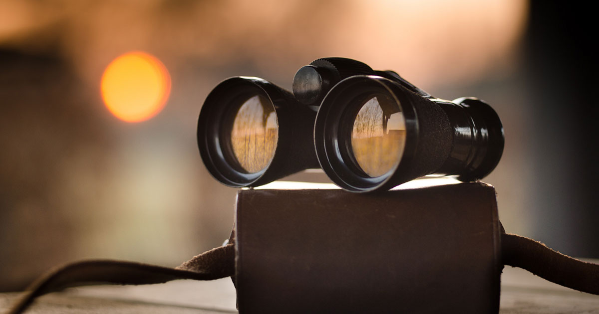 assess marketplace opportunity