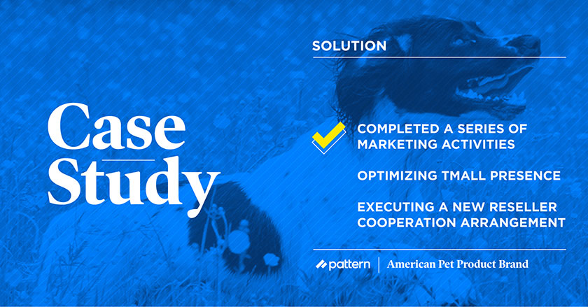 American Pet Brand Increases Tmall Sales by 500% with a Pattern Partnership pet case study