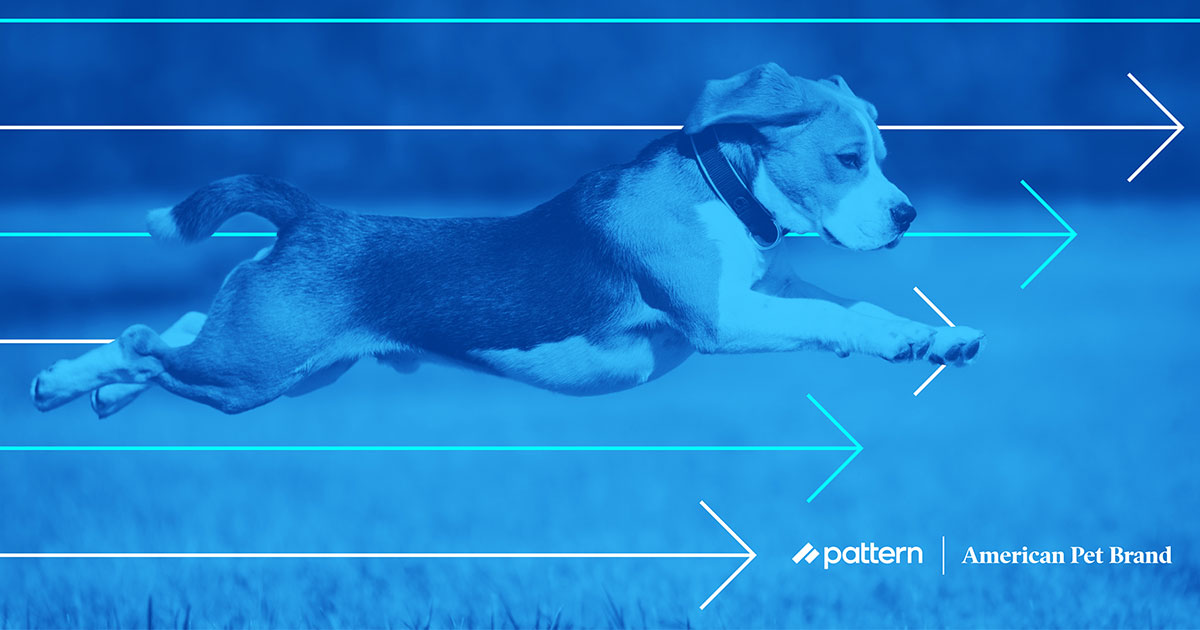 american pet brand