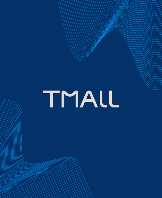 Tmall Accelerate on Tmall